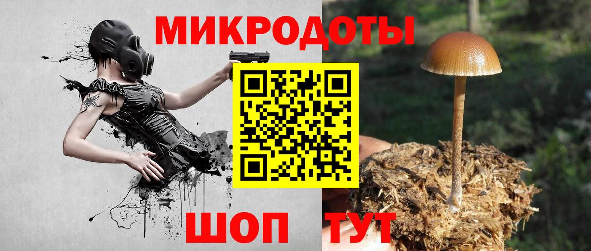 Галлюциногенные грибы мухоморы Астрахань