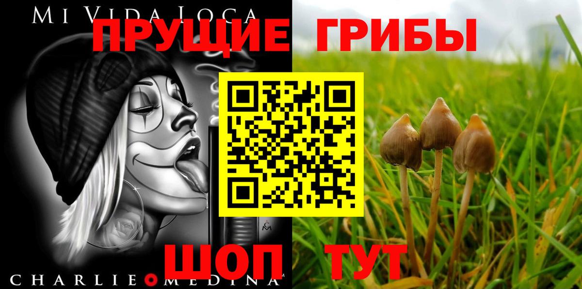 Астрахань  Псилоцибиновые грибы GOLDEN TEACHER  Вход с VPN 